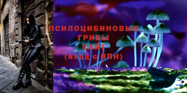 не бодяженный Инта