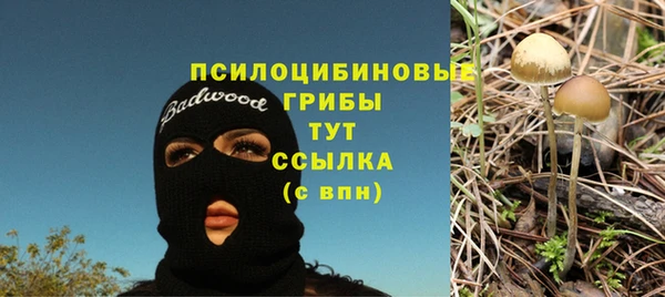 марки lsd Инсар